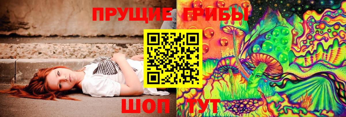 купить закладку  Вход с VPN  Спасск-Дальний  Псилоцибиновые грибы GOLDEN TEACHER 